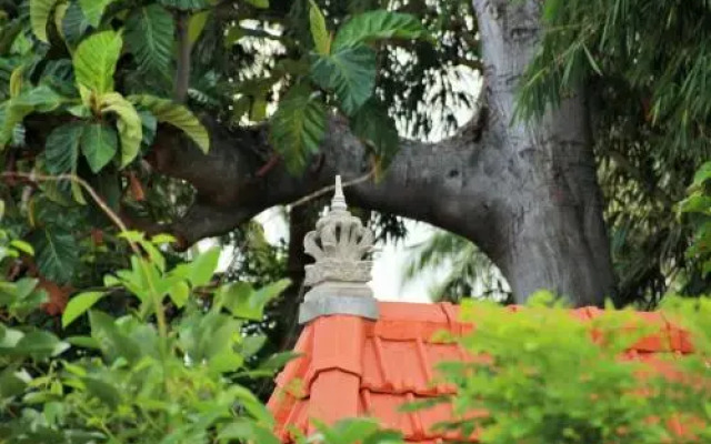 Rumah Beryl At Lata Lama