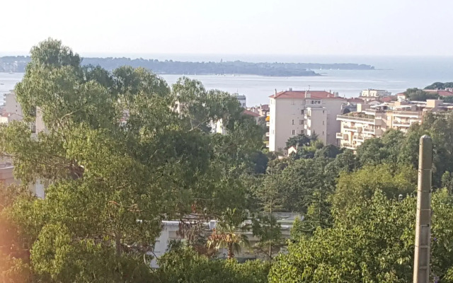 Le Vert