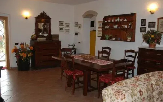 Il Leccio