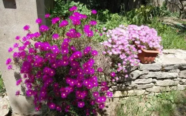 Agriturismo Furfullanu