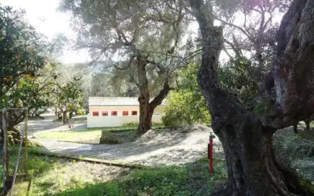 Camping Paleokastritsa