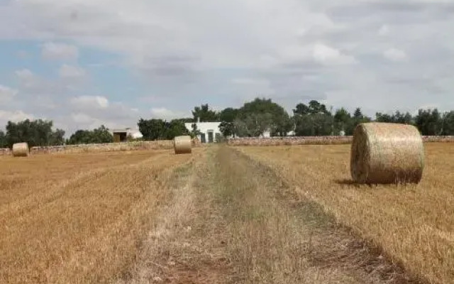 B&B Masseria Cappotto