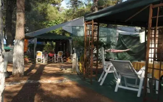 Olympos Beach