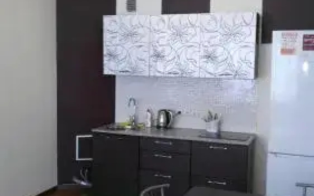 Apartment Irkutsk