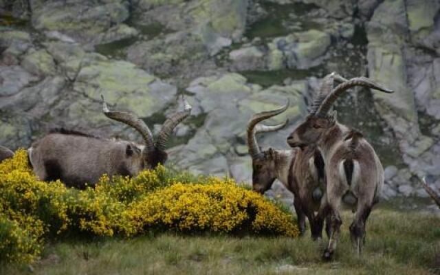 La Pasailla de Gredos