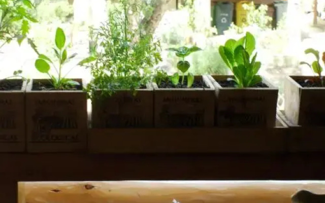 Peumayen Lodge & Termas