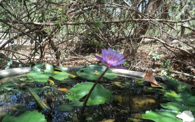 Hotel Nature Trails