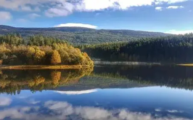Rendalen Gjestegård