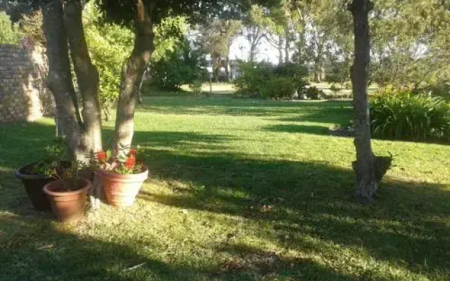 Perazim BNB