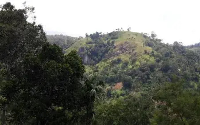 Raveena Guest House