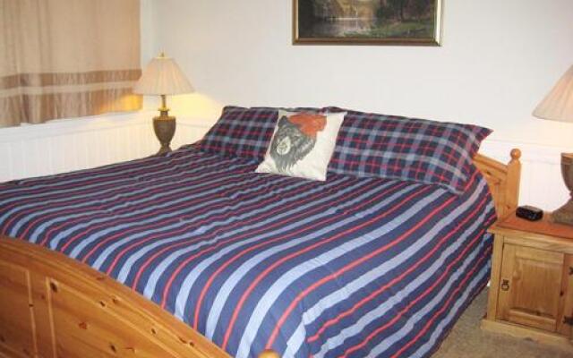 Mammoth View Villas 18