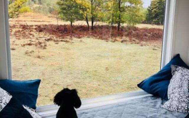 Elizabeth Tiny House