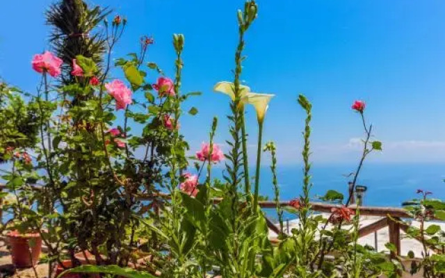 Villa Matilde Amalfi