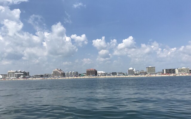 Bianchi 1 by RedAwning