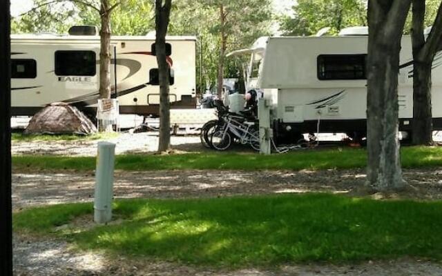 Sunny Springs Resort & Campground