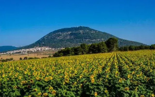 Galilee Best Location