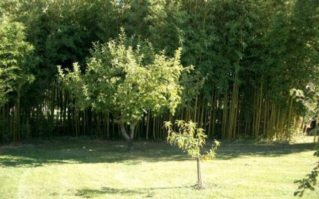 La Maison des Grands Bambous