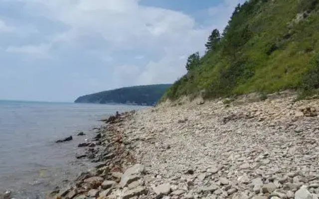 Paradise