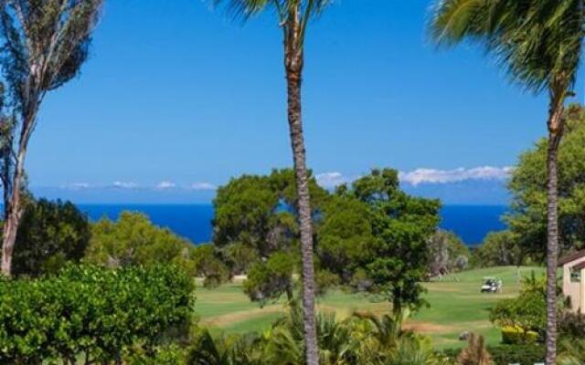 Waikoloa Villas D200