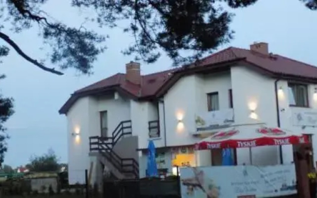 Róża Wiatrów