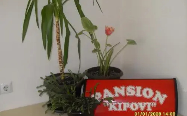 Pansion Kipovi