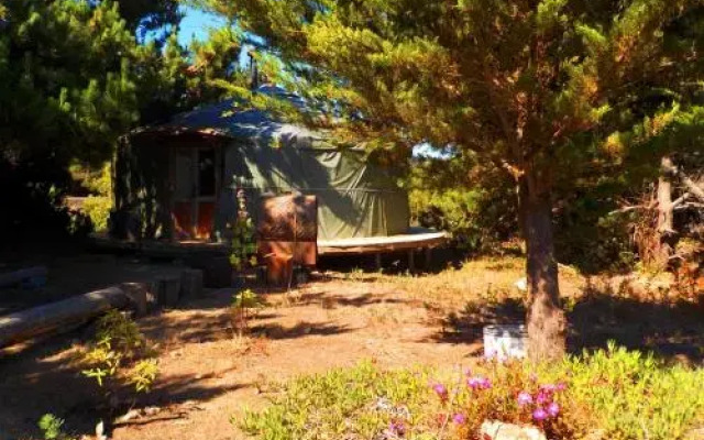 Desdeoriente Punta De Lobos