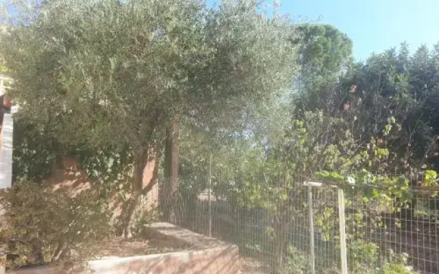 Ammos Apartments
