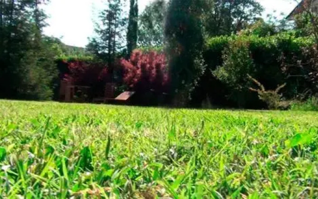 Rosadimaggio