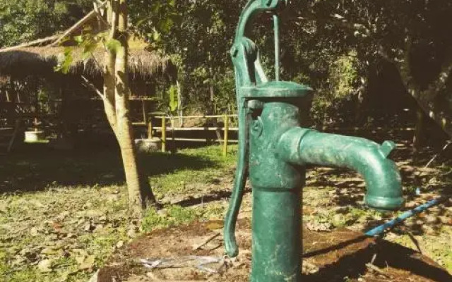 Cool Bananas Homestay