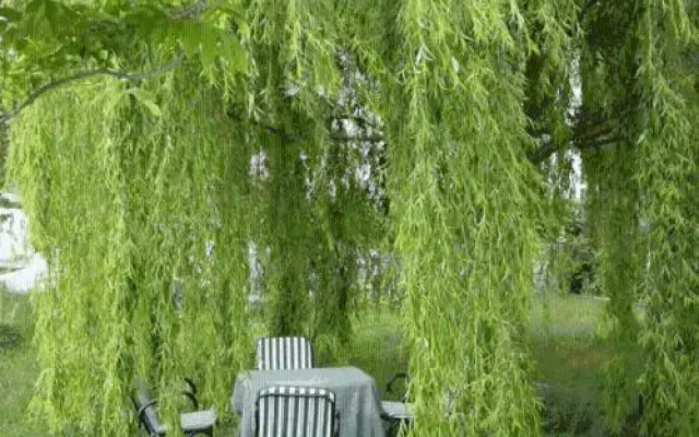 Guesthouse Kalosorisma