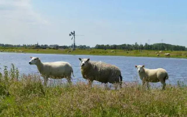 Vakantiehuis Meerzicht