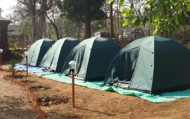 Dandeli Camps