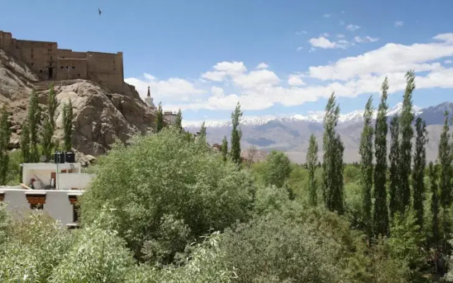 The Hotel Himalaya Leh