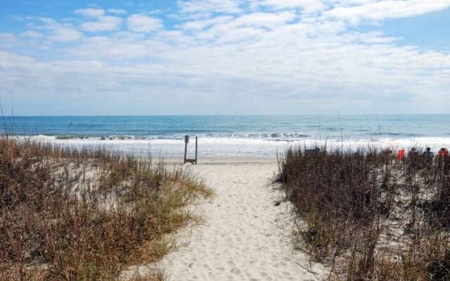 Ocean Forest 1909 - Ocean Front