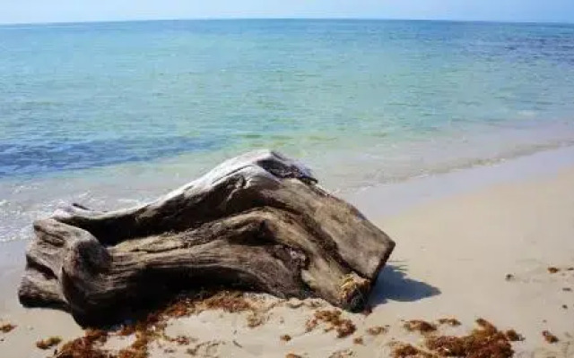 Villa Relax - Pescoluse