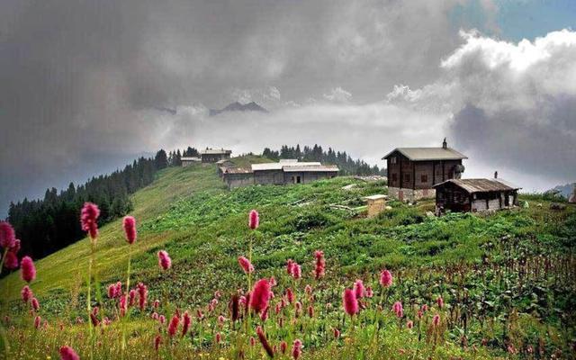 Demircioglu Pokut Dag Evi