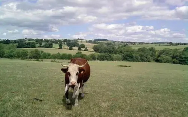 La ferme du Bouton d'Or
