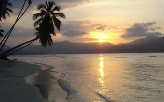 Caoba