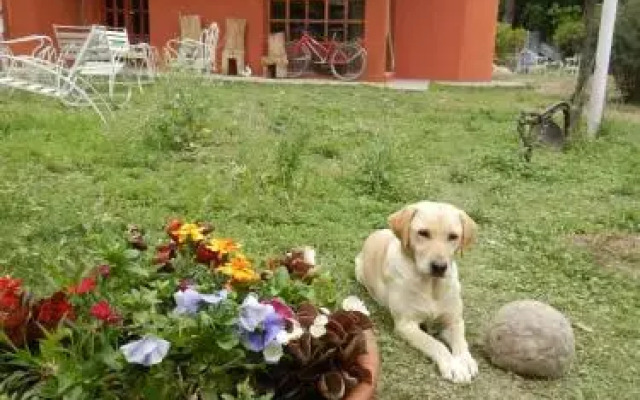 Casa Pueblo