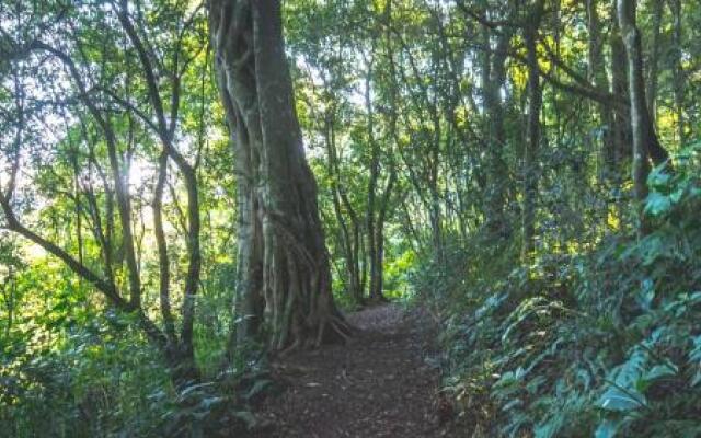 The Knoll Historical Guest Farm