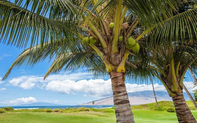 Waiohuli Beach Hale #D-119