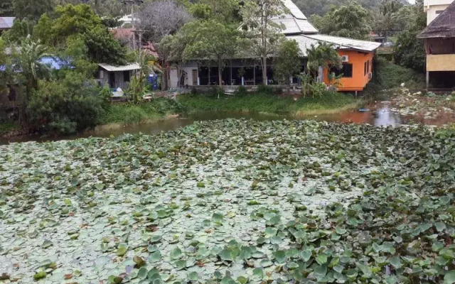 Jaya Hostel & Guesthouse