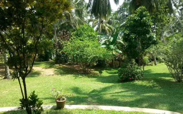 Rocky Point Beach Bungalows