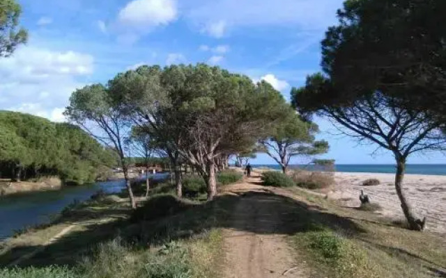 La Ginestra