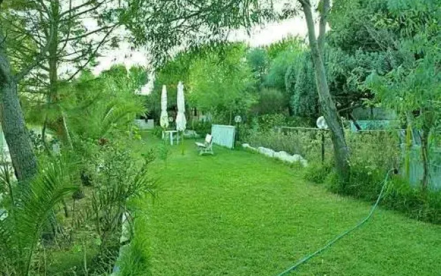 B&B Il Giardino Dacri
