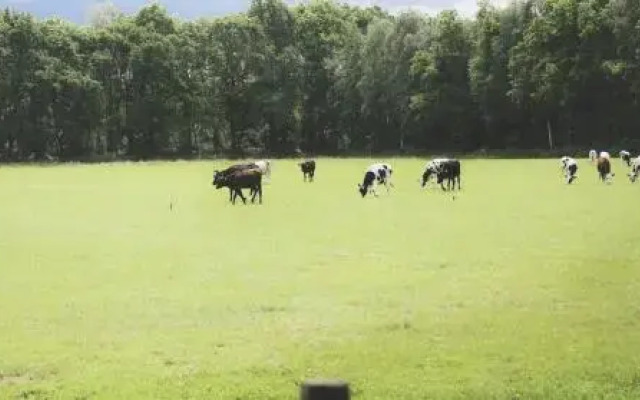 BoerenBed De Lange Weide