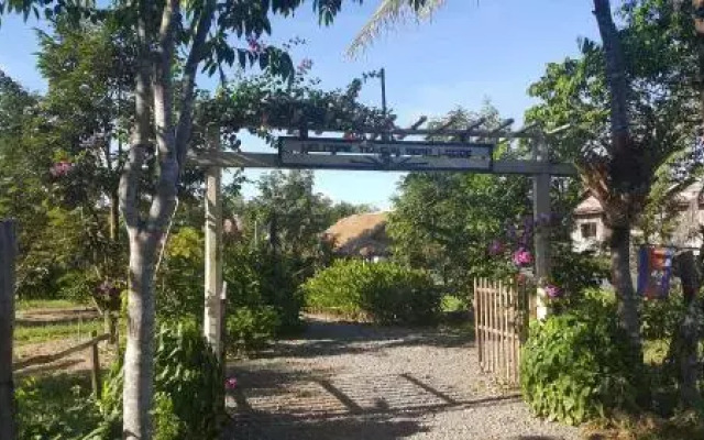 Sun Bear Bungalows