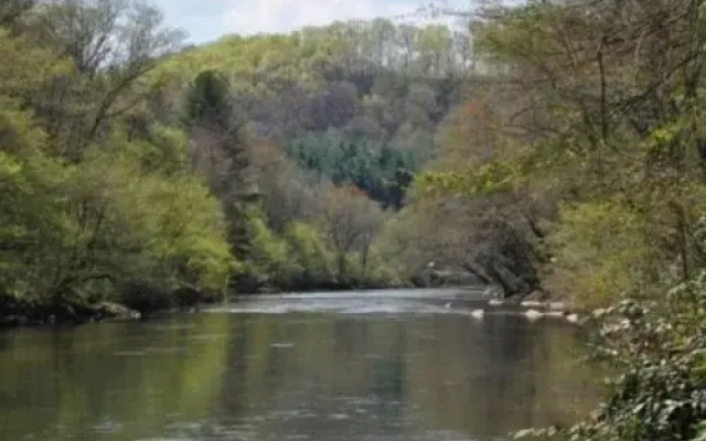 River Escape On The Toccoa