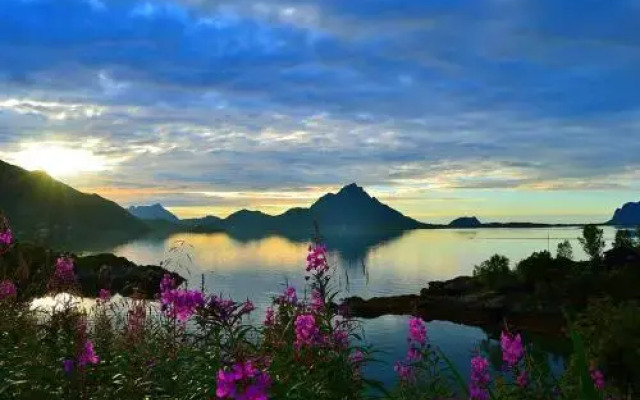 Skjellbogen Hyttegrend