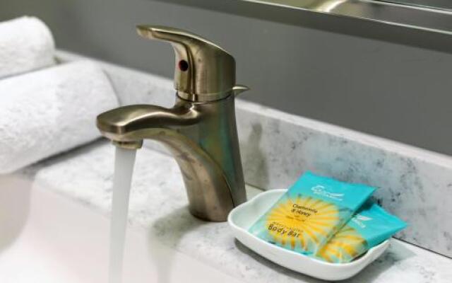 Stay Alfred on 12th Street